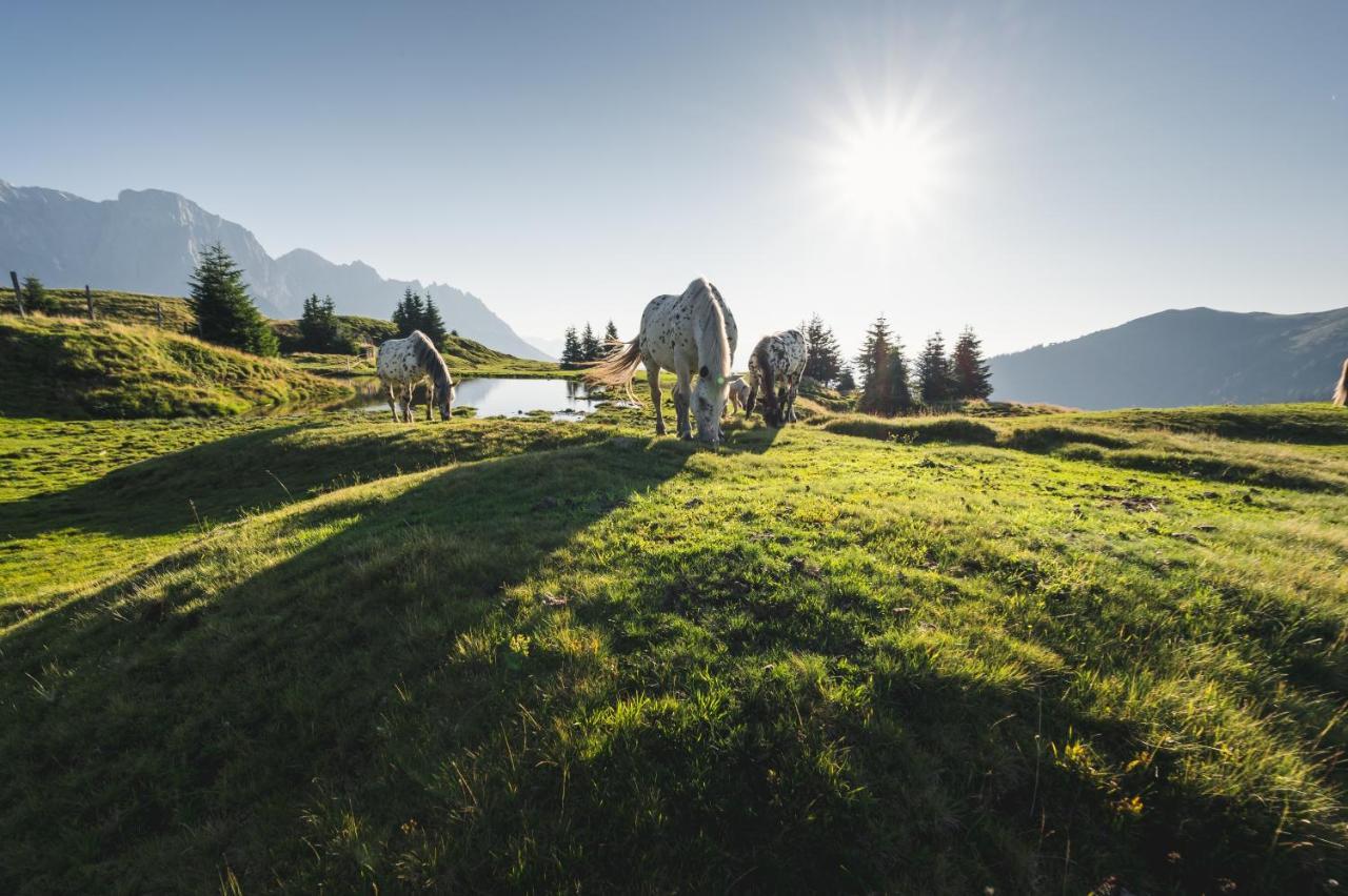 Alpenparks Hotel & Apartment Hochkoenig Mühlbach am Hochkönig Kültér fotó